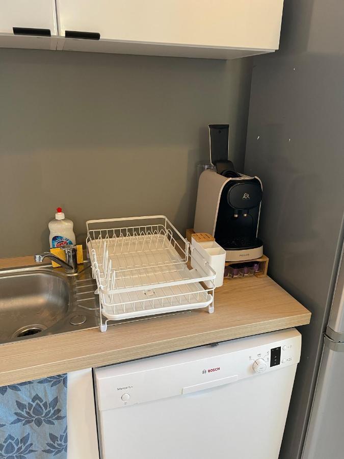 Apartment Loft Renove Avec Mezzanine - Vue Sur Le Loing - Commerces A Pied *